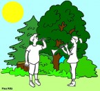 Fina RifĂ amb fons arbres2